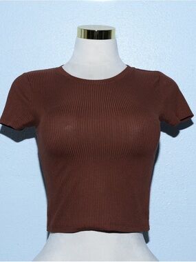 Splash Brown Ribbed Short Sleeve Crop Top